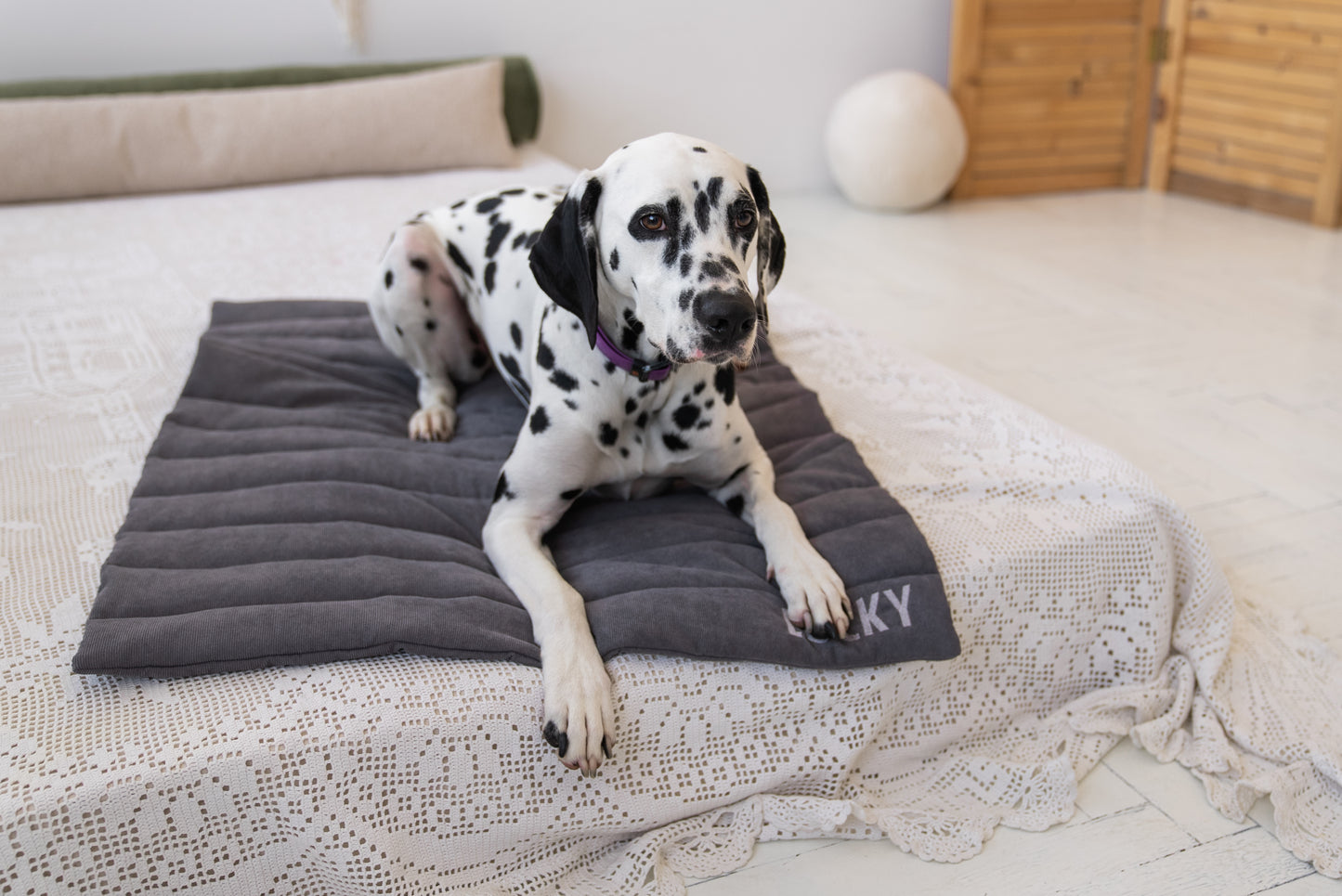 Velvet dog blanket