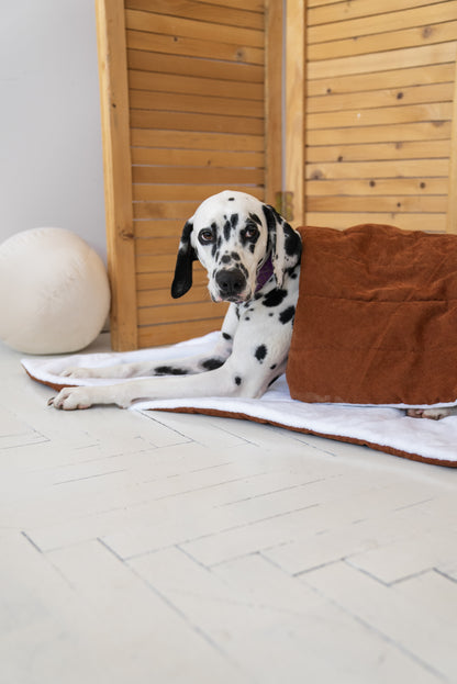 Soft dog blanket