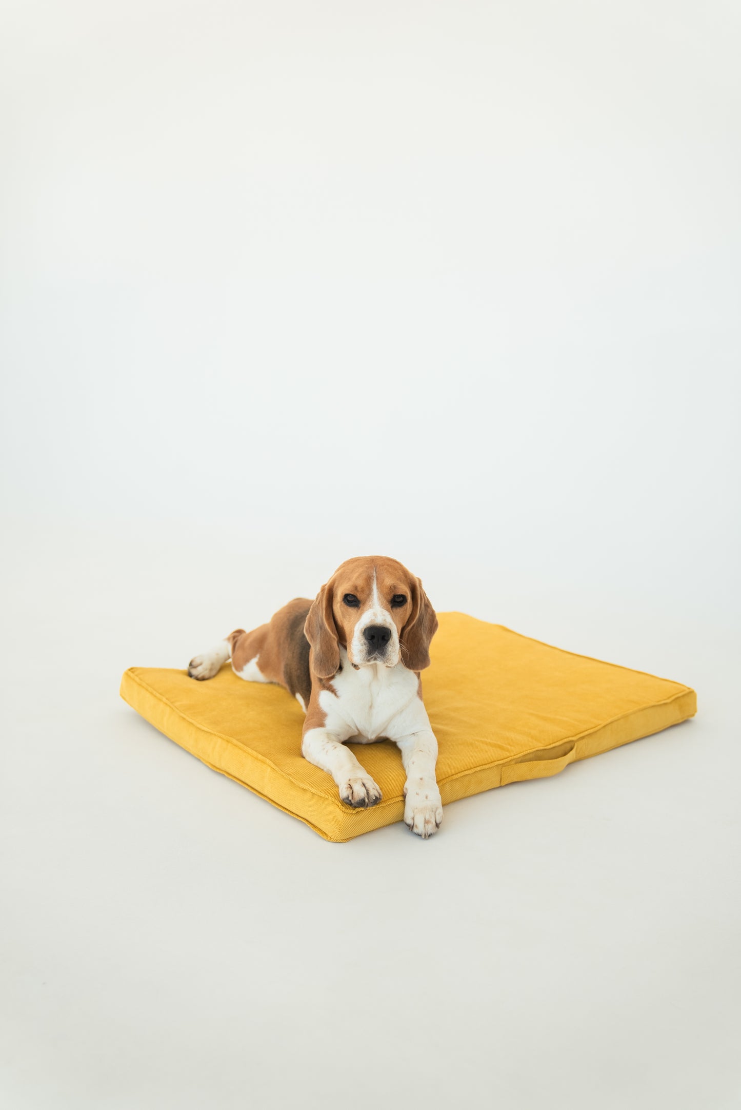 Minimalist dog cushion M