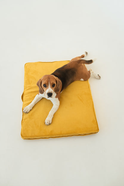 Minimalist dog cushion M