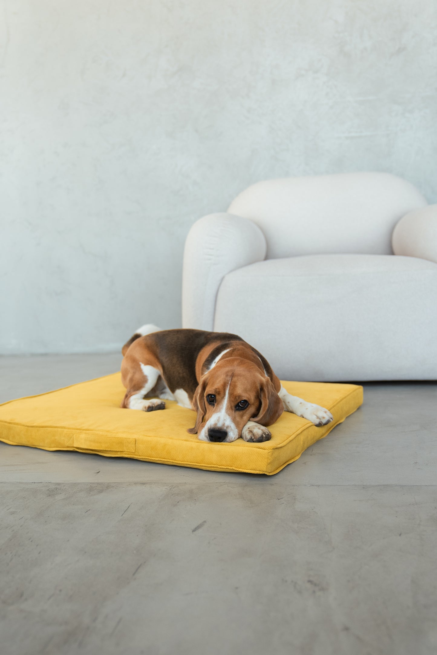 Minimalist dog cushion M